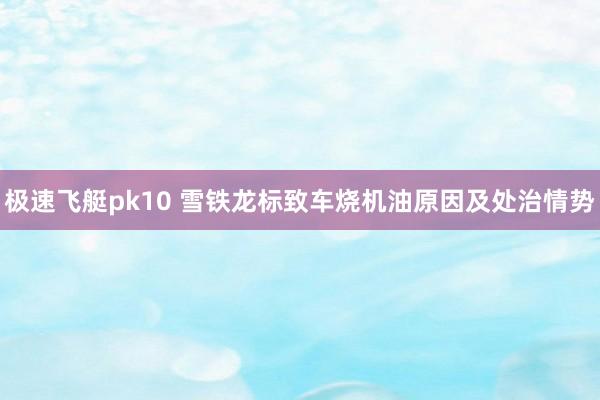 极速飞艇pk10 雪铁龙标致车烧机油原因及处治情势