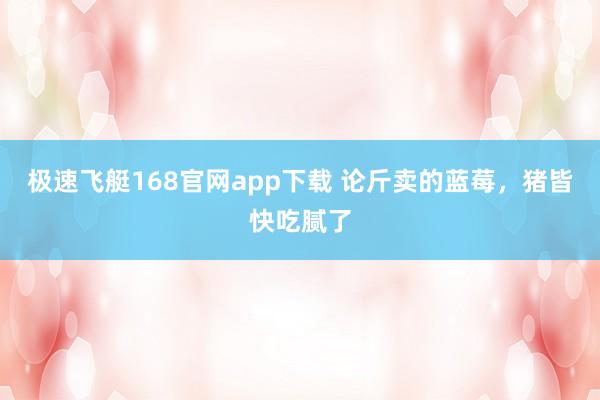 极速飞艇168官网app下载 论斤卖的蓝莓，猪皆快吃腻了
