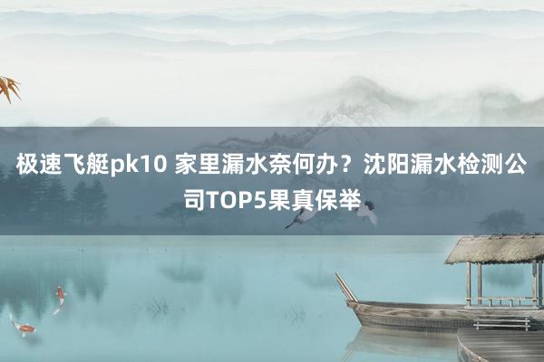 极速飞艇pk10 家里漏水奈何办？沈阳漏水检测公司TOP5果真保举