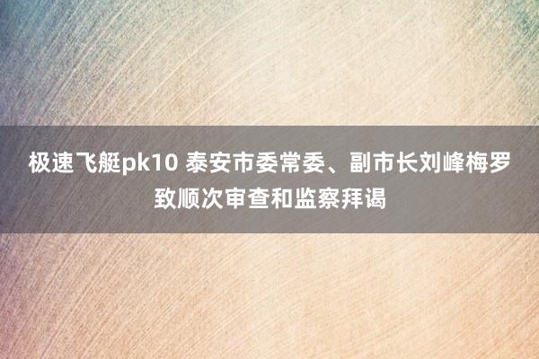 极速飞艇pk10 泰安市委常委、副市长刘峰梅罗致顺次审查和监察拜谒