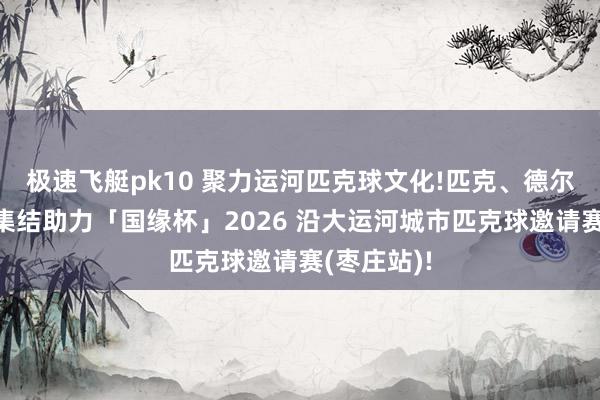 极速飞艇pk10 聚力运河匹克球文化!匹克、德尔惠、嗨克集结助力「国缘杯」2026 沿大运河城市匹克球邀请赛(枣庄站)!