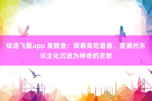 极速飞艇app 臭鳜鱼：闻着臭吃着香，是徽州东谈主化沉迷为神奇的灵敏