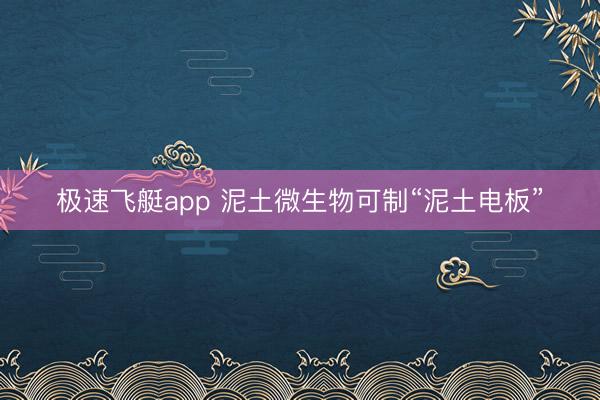 极速飞艇app 泥土微生物可制“泥土电板”